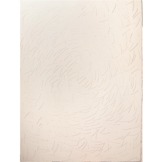 %22Laberinto Interno I%22, 2011, Serie- Laberintos, Grabado- Intaglio sobre papel de algodón, 57 x 76 cm